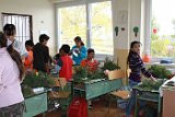 ara1112 (9)