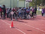 pdv1314 (7)
