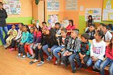 dz15161 (5)