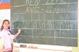 dz15161 (61)
