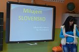 msl1516 (10)