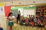 imz1718 (2)