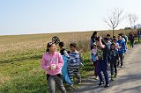 odl1718 (18)