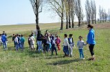odl1718 (21)