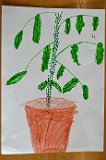 mjmz2122 (29)