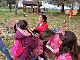dkth2223 (11)