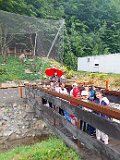 skvz2223 (13)